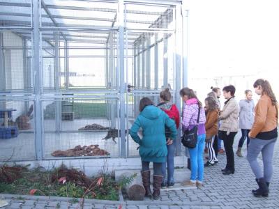 schronisko _lublin_17.jpg